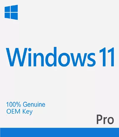 Windows 11 Pro - OEM Key